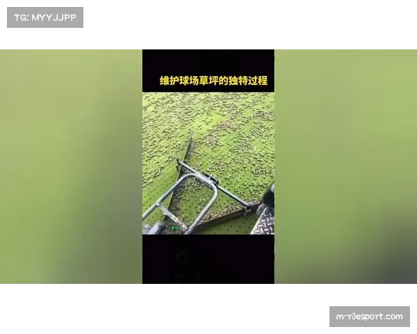 王子公园球场测试新型草坪照明系统,旨在降低球员晚间比赛疲劳感 王子公园球场测试新型草坪照明系统,旨在降低球员晚间比赛疲劳感