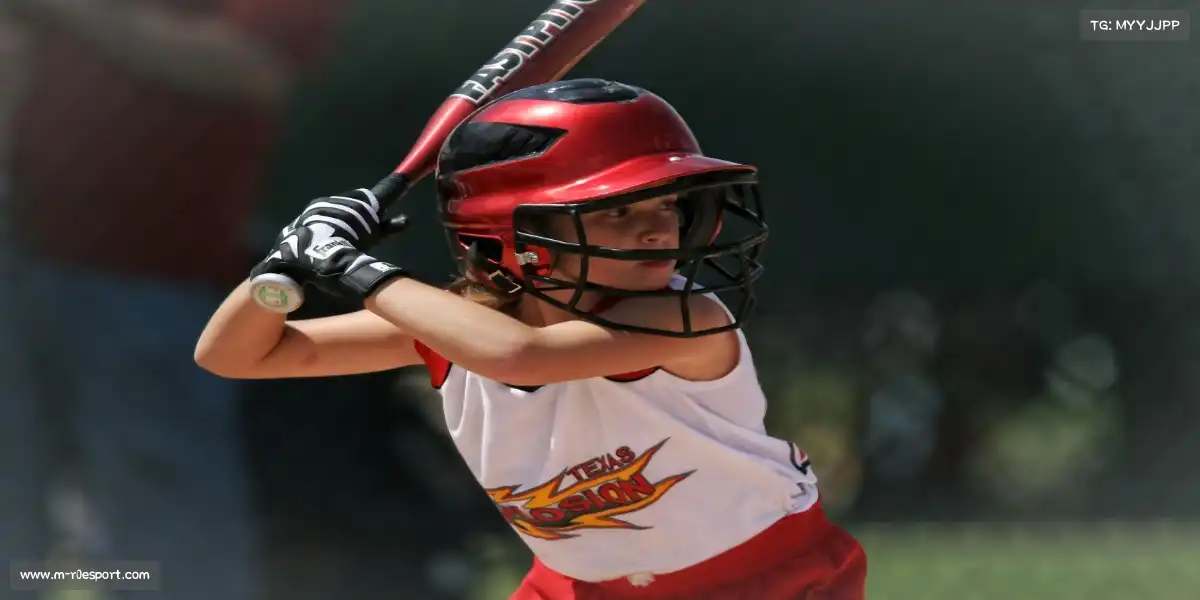 ro对战平台——精英训练体系·为荣耀背书⚙️